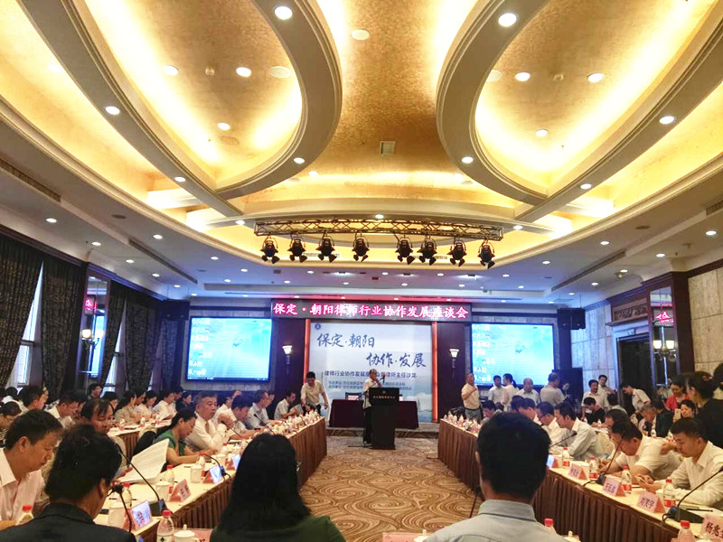 瀛和保定持續(xù)助力京津冀協(xié)同發(fā)展和雄安新區(qū)建設(shè)！