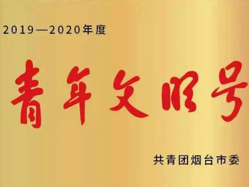 瀛偉所榮獲“2019-2020年度煙臺(tái)市青年文明號(hào)”榮譽(yù)稱號(hào)